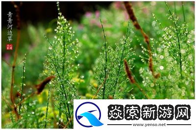 青青河边草高清免费版新闻