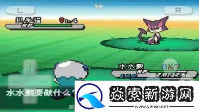 口袋妖怪黑白2恋爱任务全流程指南