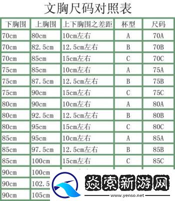 亚码L跟欧码L区别在哪
