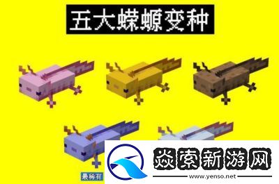 我的世界美西螈繁殖方法一览