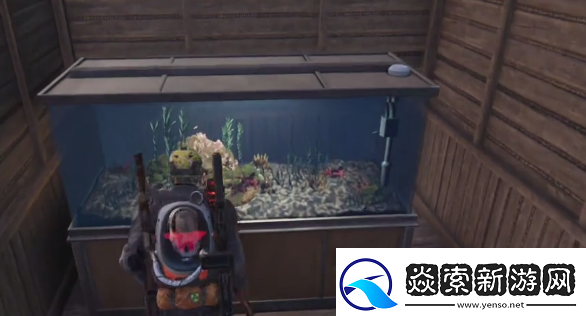 七日世界鱼缸可以放多少鱼