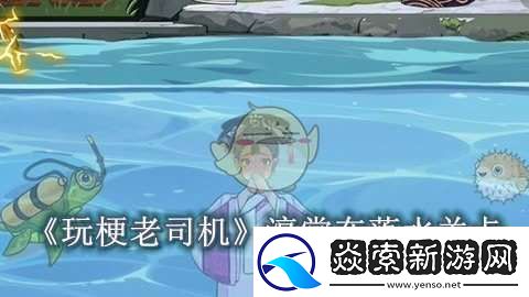 玩梗老司机淳常在落水怎么过