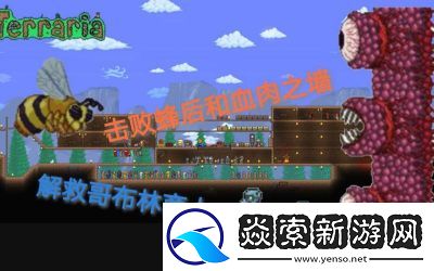 泰拉瑞亚肉山攻略