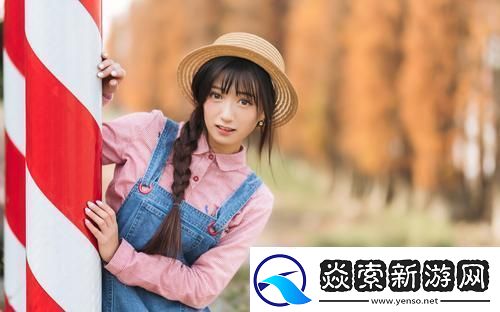 wordpress永久免费网站建设如何起步