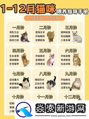 2021淘宝618养猫攻略详解