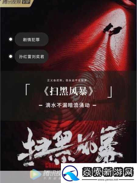 扫黑风暴引争议