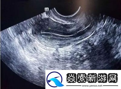 地下城堡2元素师职业发展及技能属性评估