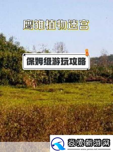 迷宫探险新纪元战略分队迷宫英雄燃情公布