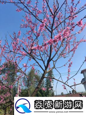 浪花一阵接一阵地涌了过来