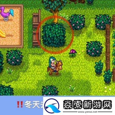 星露谷物语秘文纸条任务攻略