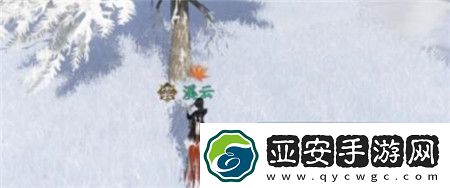 逆水寒手游寒衣覆雪奇遇任务怎么玩