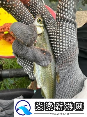 钓鱼佬游戏中钓鱼技巧大揭秘