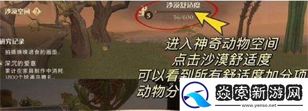 哈利波特魔法觉醒如何提高沙漠舒适度