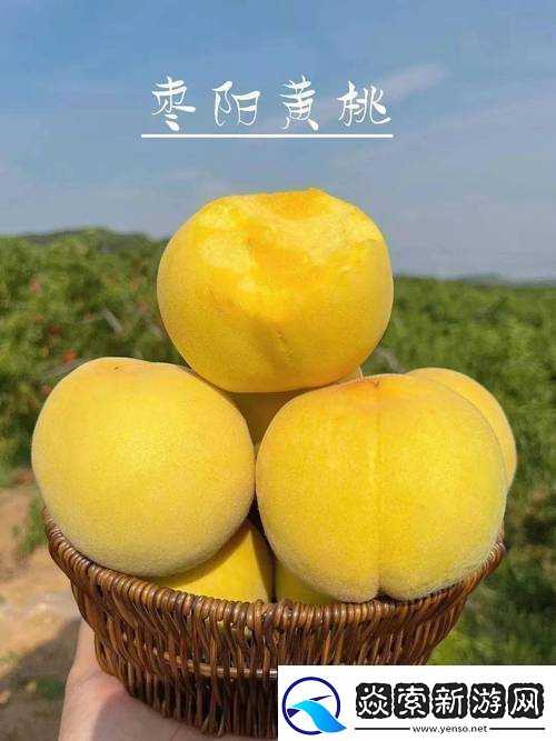 9612黄桃站手机据说可以让你告别烦恼