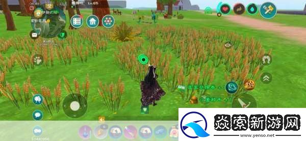 探索创造与魔法的神秘祭祀之地