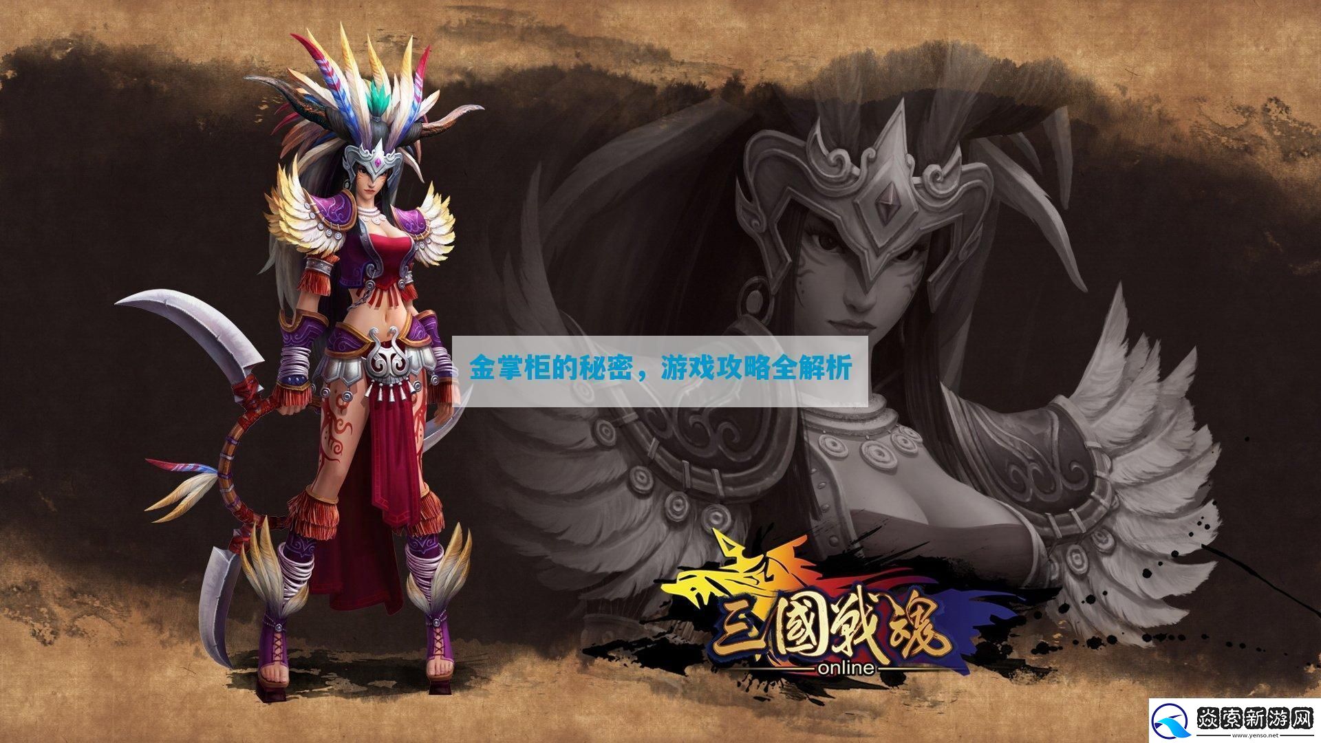 金掌柜的秘密全解析