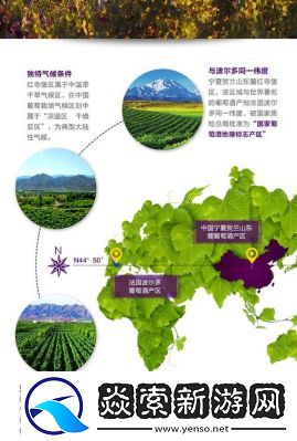 国产精品产区大揭秘