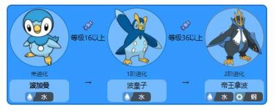 宝可梦传说阿尔宙斯全新宝可梦进化指南