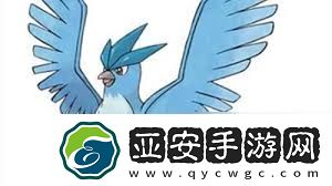 口袋妖怪漆黑的魅影神兽捕捉地点大