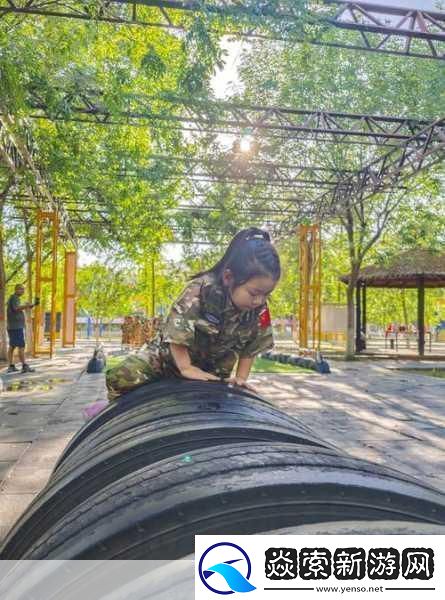 成色好的Y31是一次智慧的考验