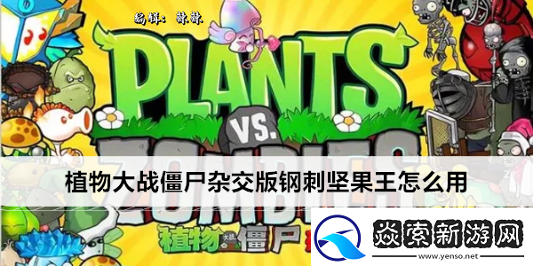 植物大战僵尸杂交版钢刺坚果王怎么用