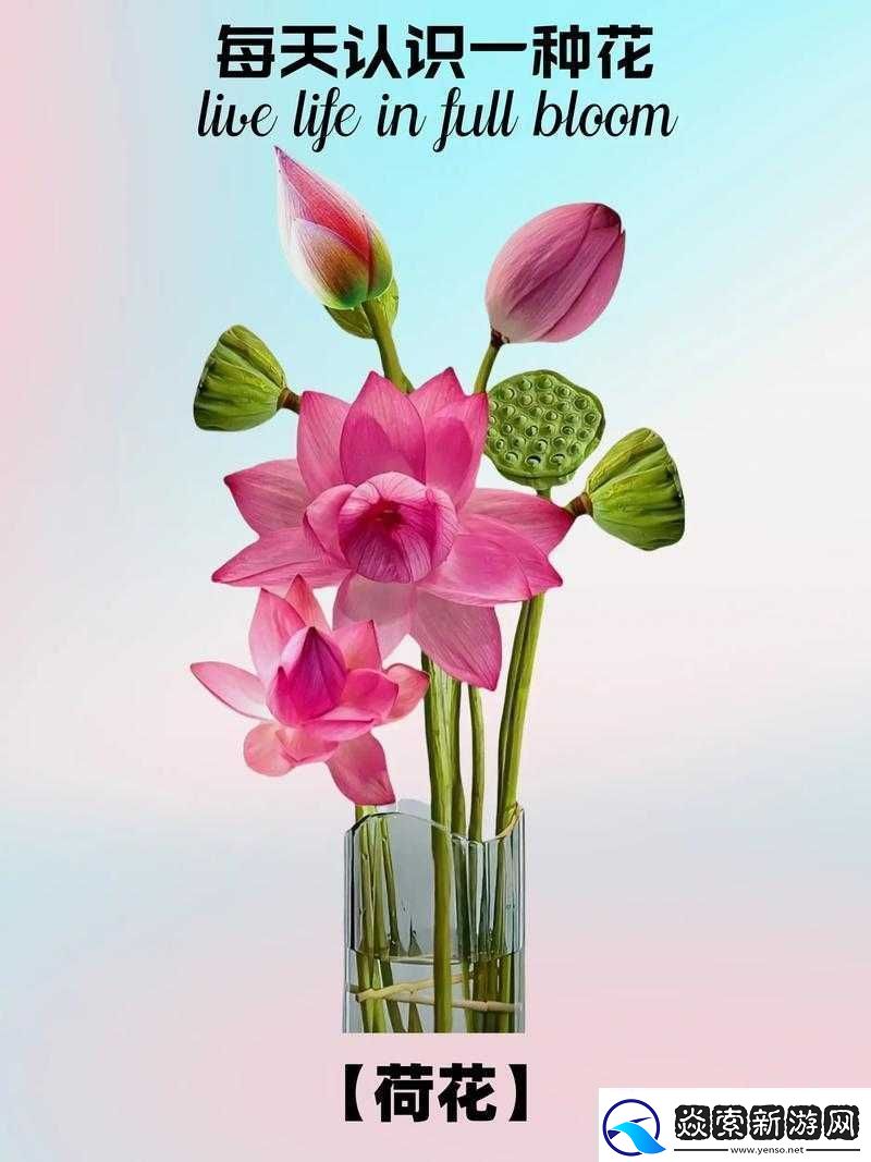 女性半夜莲花开放的治疗