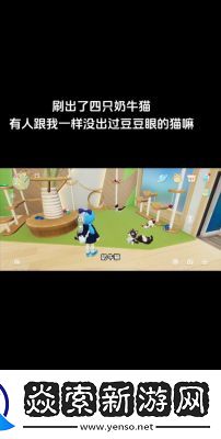 心动小镇猫咪奇灵时装获取攻略【详细步骤】