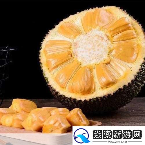 菠萝蜜一线二线三线品牌