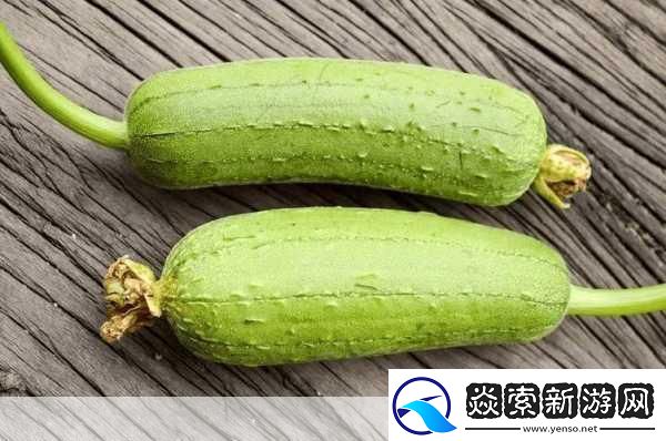 小猪草莓丝瓜深夜释放自己歌词探索