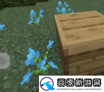 如何收集我的世界中的蜂蜜