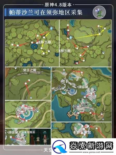原神帕蒂莎兰采集全攻略
