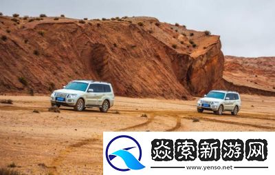 国产无人区码SUV