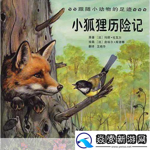 小狐狸冒险记大事件！全新活动及更新公告揭秘