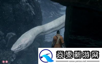 如何成功穿越只狼中的白蛇区域