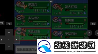 口袋妖怪新手必看攻略