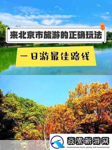 暮夕森林探险指南