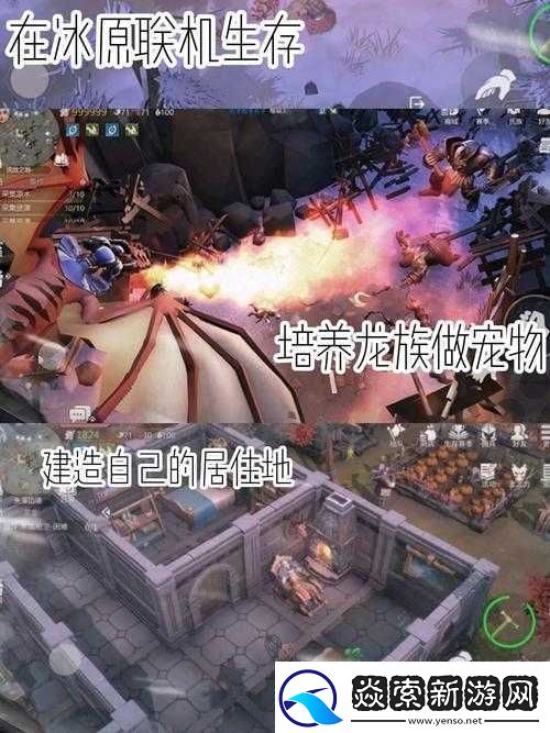 探索冰原守卫者