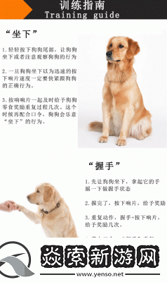 如何在迷你世界中训练狗坐下