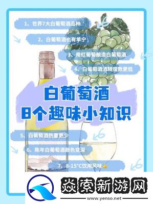 最新yw1168网名大揭秘这些你可能不知道的趣味名字