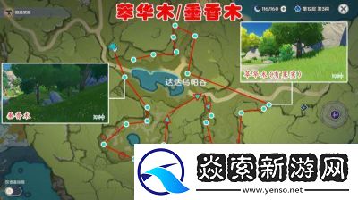 原神杉木采集指南