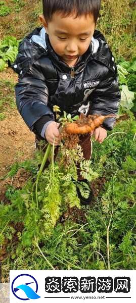 事卜卜辽卜卜叉叉叉卜书才卜事卜卜辽的奇幻冒险之旅