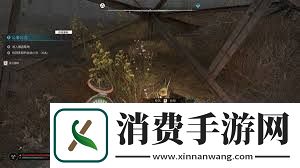 潜行者2棘刺超自然体在哪里形成及效果解析潜行者2棘刺超自然体形成地点与功效详解