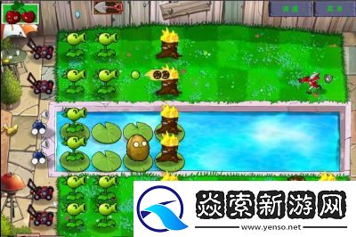 玩植物大战僵尸网页版