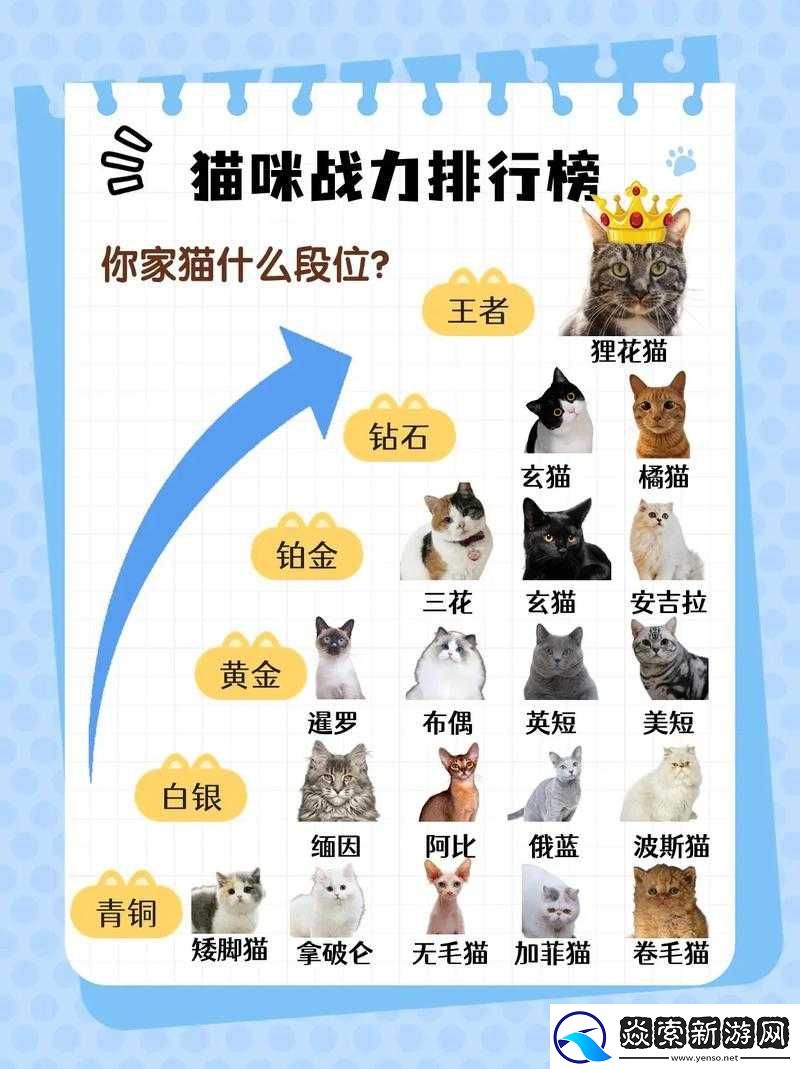 星战少女战力飙升指南