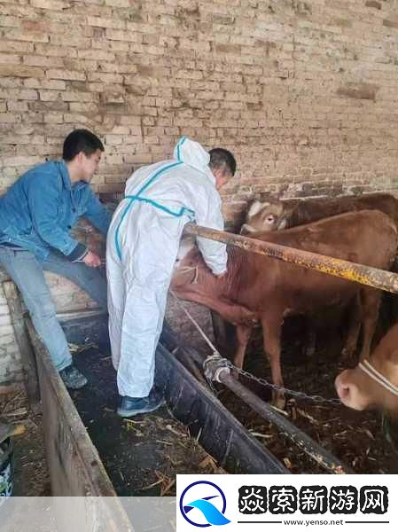 人与畜禽人与畜禽的和谐共生关系探讨