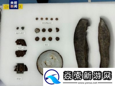 遗骸手游公测时间及预约方法揭秘