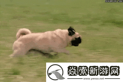 刚入睡感觉巨大的东西在动