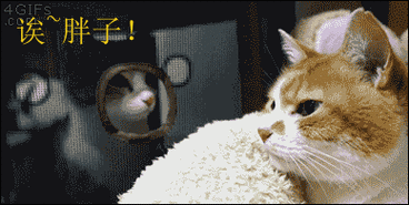 刚入睡感觉巨大的东西在动