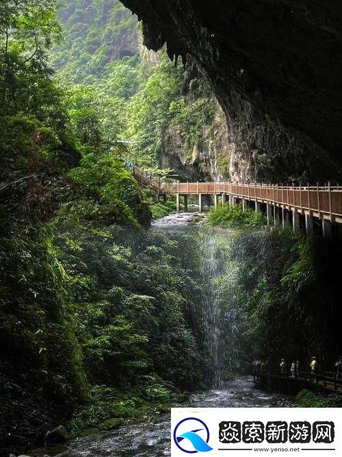 呦呦研究所2024入口