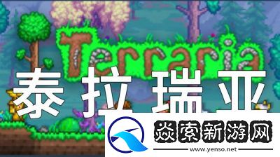 泰拉瑞亚电脑版钩爪操作全解析